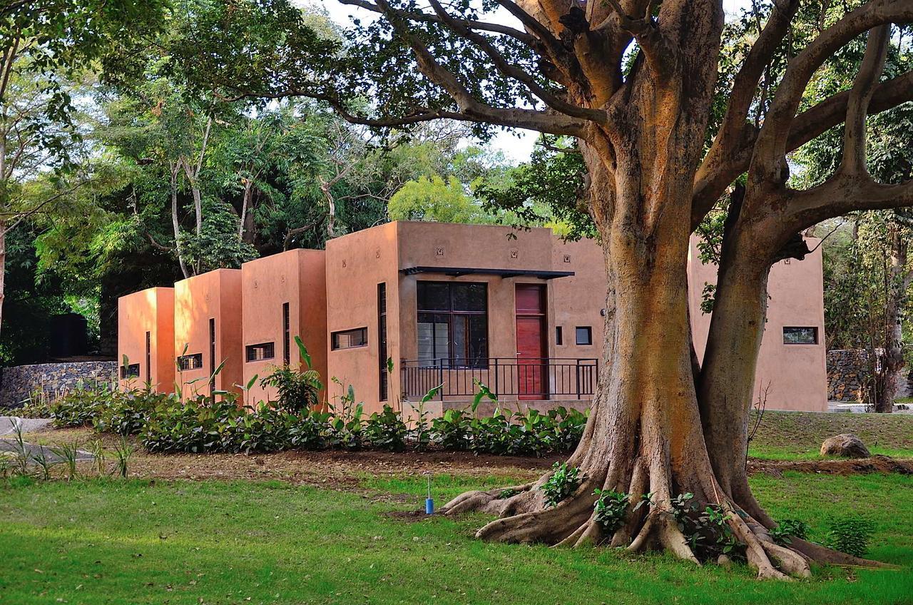 Green Hills Of Africa Hotel Usa River Ngoại thất bức ảnh